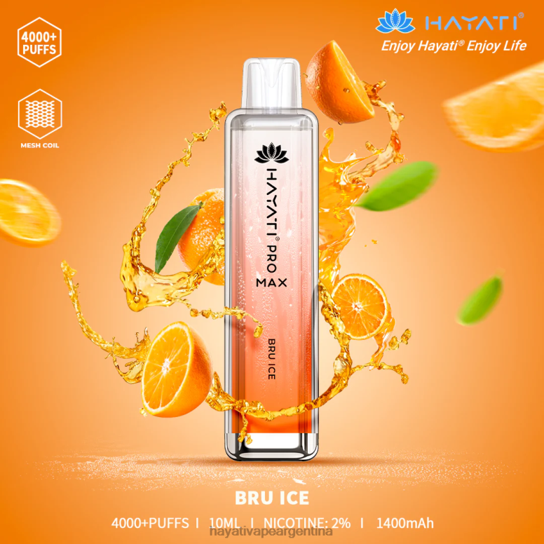 Hayati buenos aires - Hayati Pro Max desechable bru hielo 28L5L130